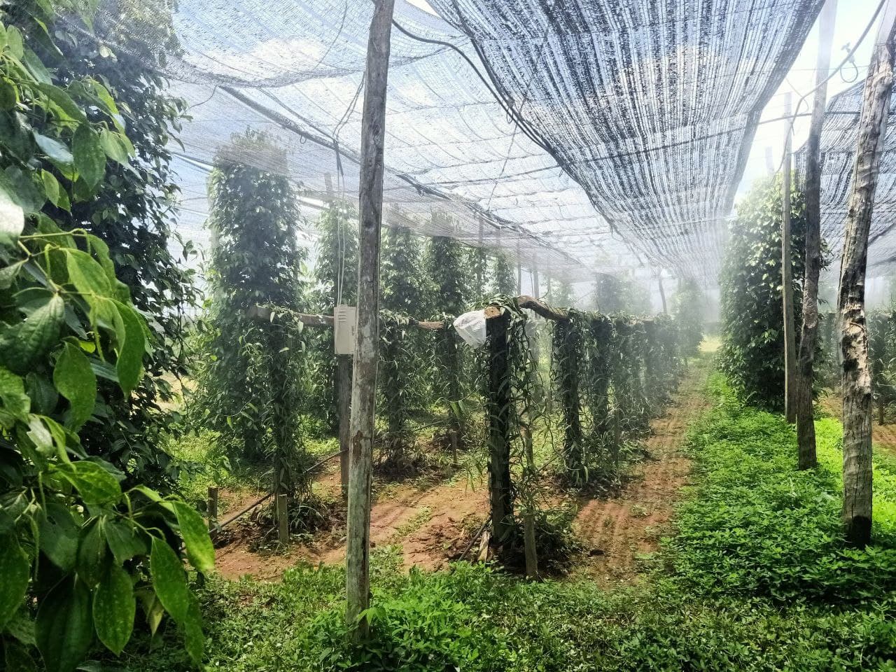Farm overview